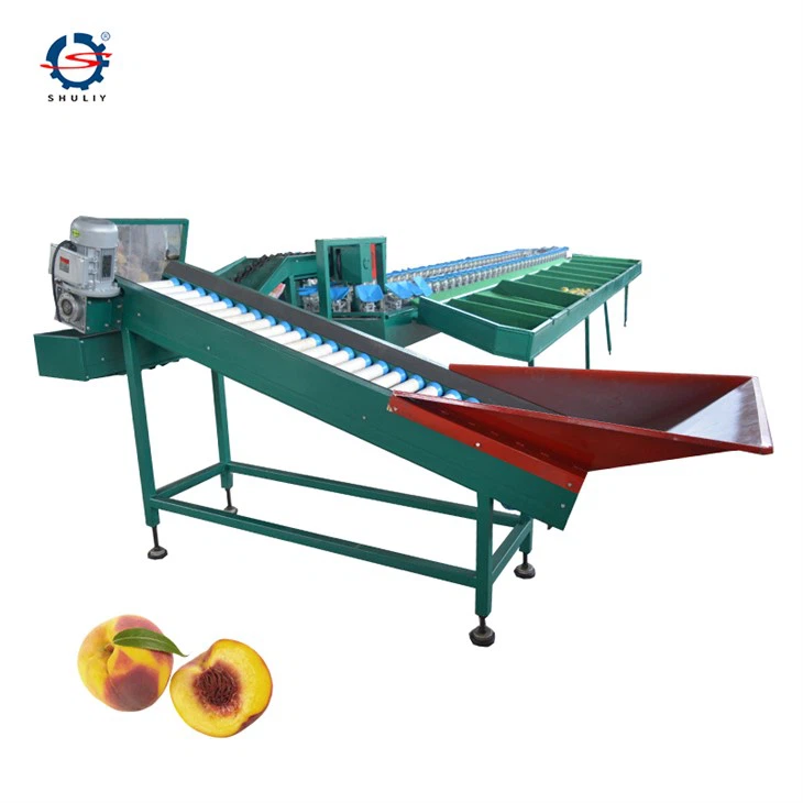 Weight Grading Machine