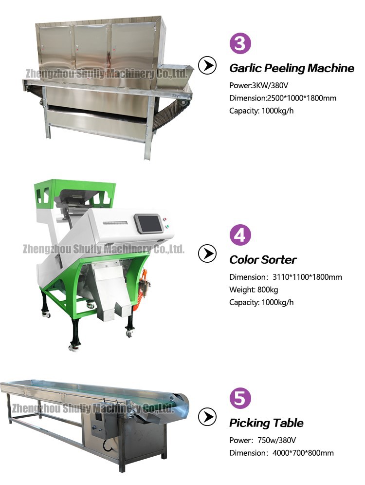 Garlic peeling production line Garlic peeling production line